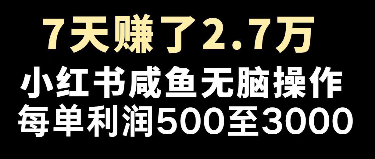 （14183期）最赚钱项目之一，2025爆火，逆风翻盘！-个人技术分享
