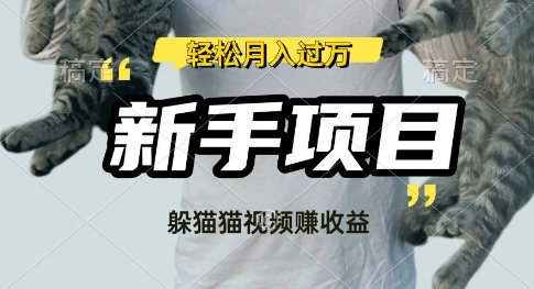 利用老外躲猫猫大赛视频，挣分成收益，操作简单，新手小白，轻松月入过W-个人技术分享