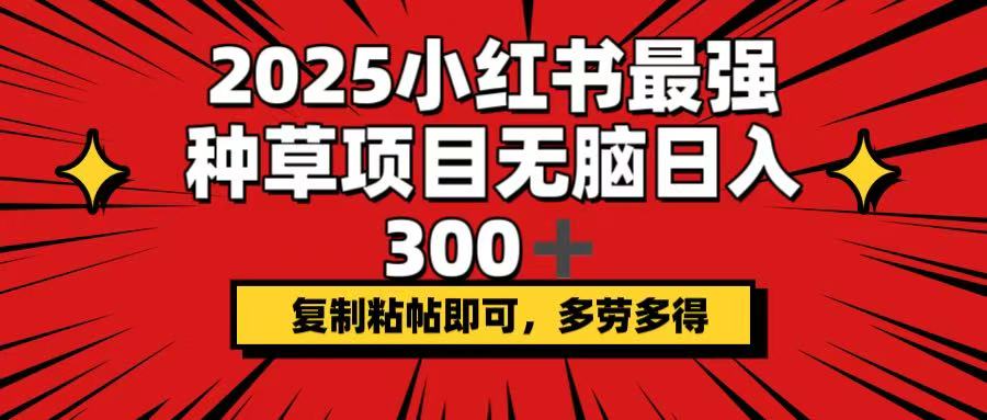 （14375期）2025小红书最强种草项目，无脑日入300+，复制粘帖即可，多劳多得-个人技术分享