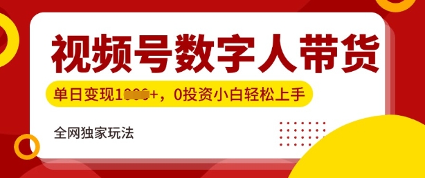 最新视频号数学人带货实操玩法，新手单日轻松多张，全程干货-个人技术分享