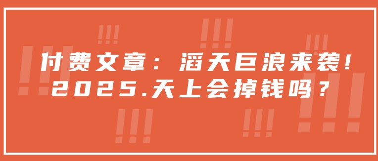 付费文章：滔天巨浪来袭！2025天上会掉钱吗？-个人技术分享